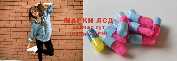 тгк Володарск