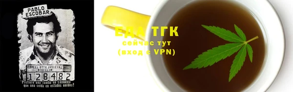 тгк Володарск