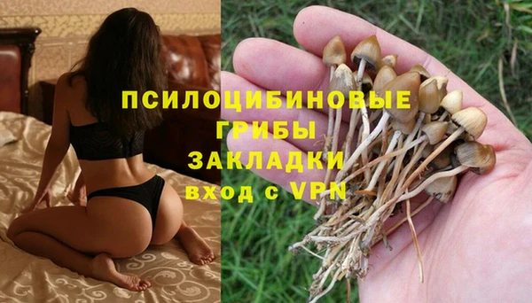 тгк Володарск