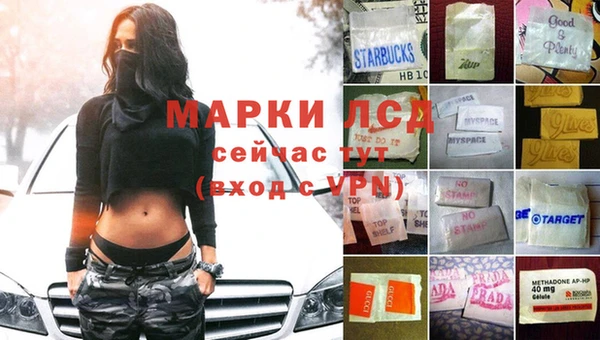 тгк Володарск