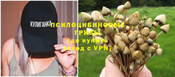 тгк Володарск