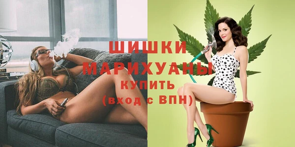 тгк Володарск